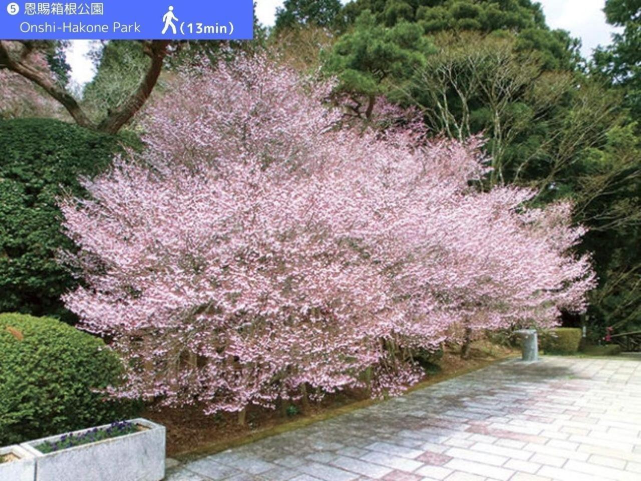 Yoichi Inn Hakone Luaran gambar