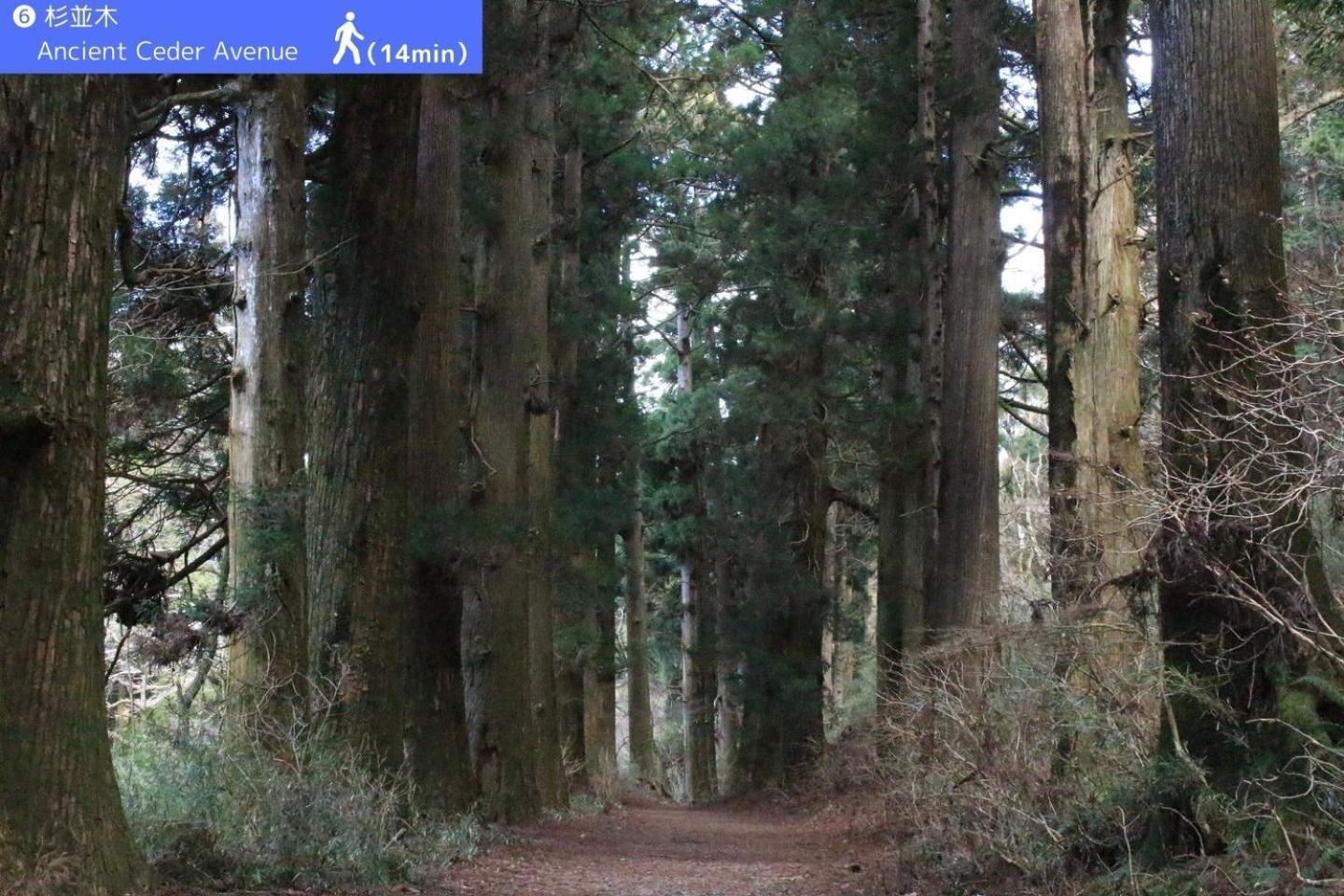 Yoichi Inn Hakone Luaran gambar
